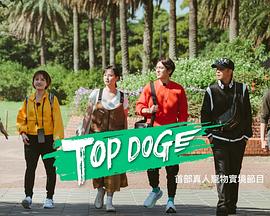 TOP DOG(全集)