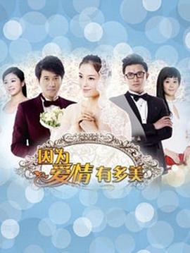 因為愛情有多美DVD(全集)